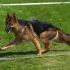 065 image