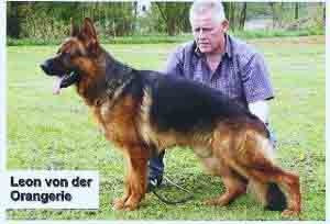 leon von der orangerie leon von der orangerie